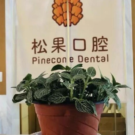 臨沂松果口腔門(mén)診部(新東關(guān)店)