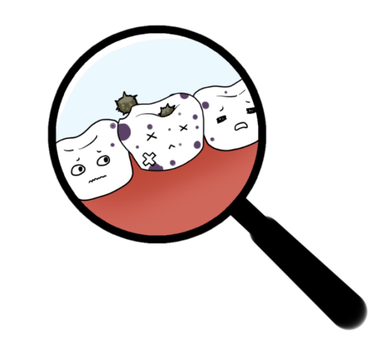 臺(tái)州雅匯口腔